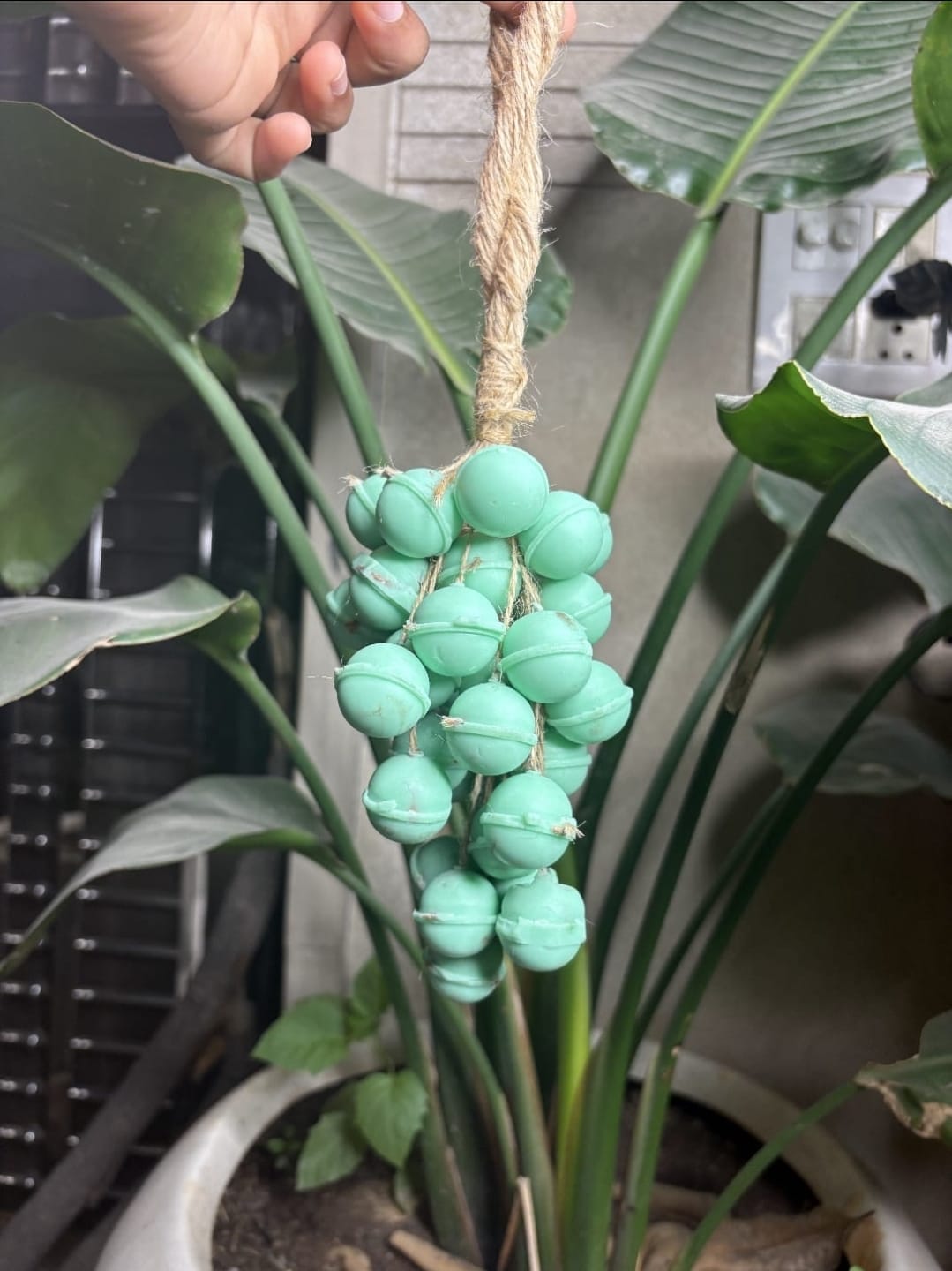 Hanging Soap Bunch
